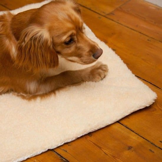 Pet Heating Bed