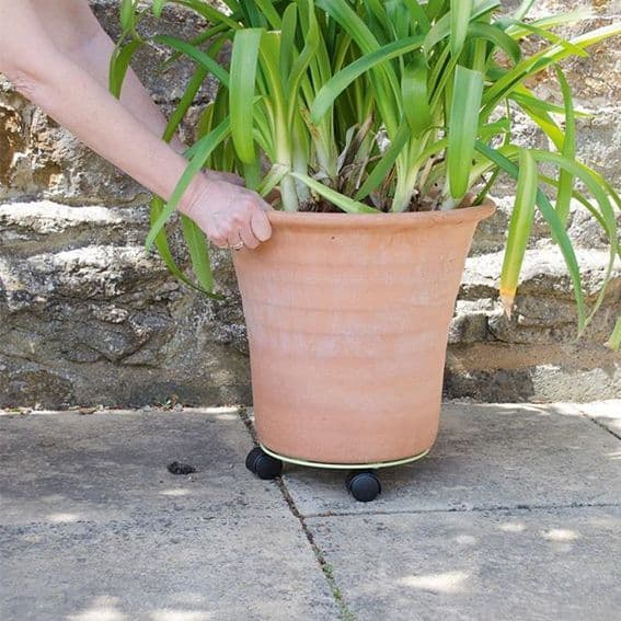 Plant Mover