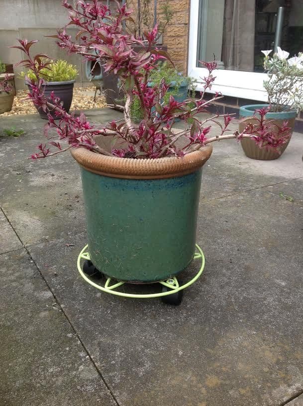 Plant Mover