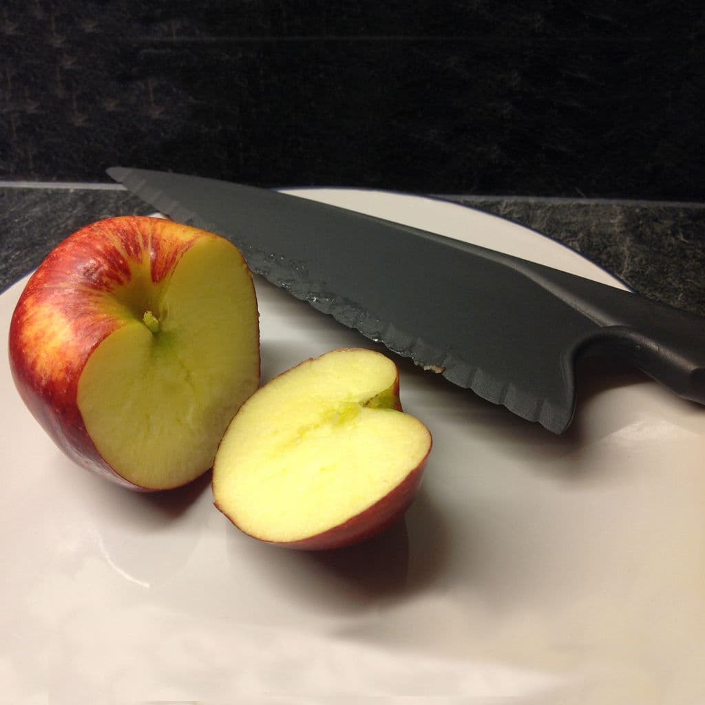 Plastic Salad Knife