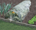 Poly Grow Tunnel