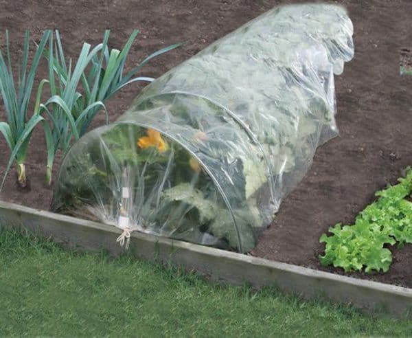 Poly Grow Tunnel