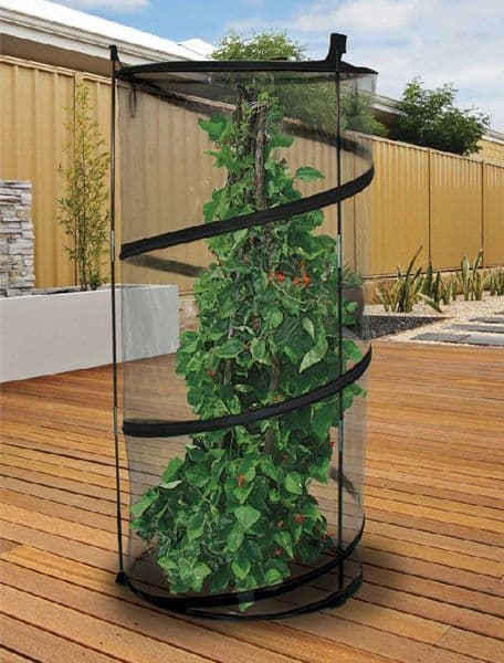 Pop Up Greenhouse
