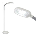 Reading Lamp