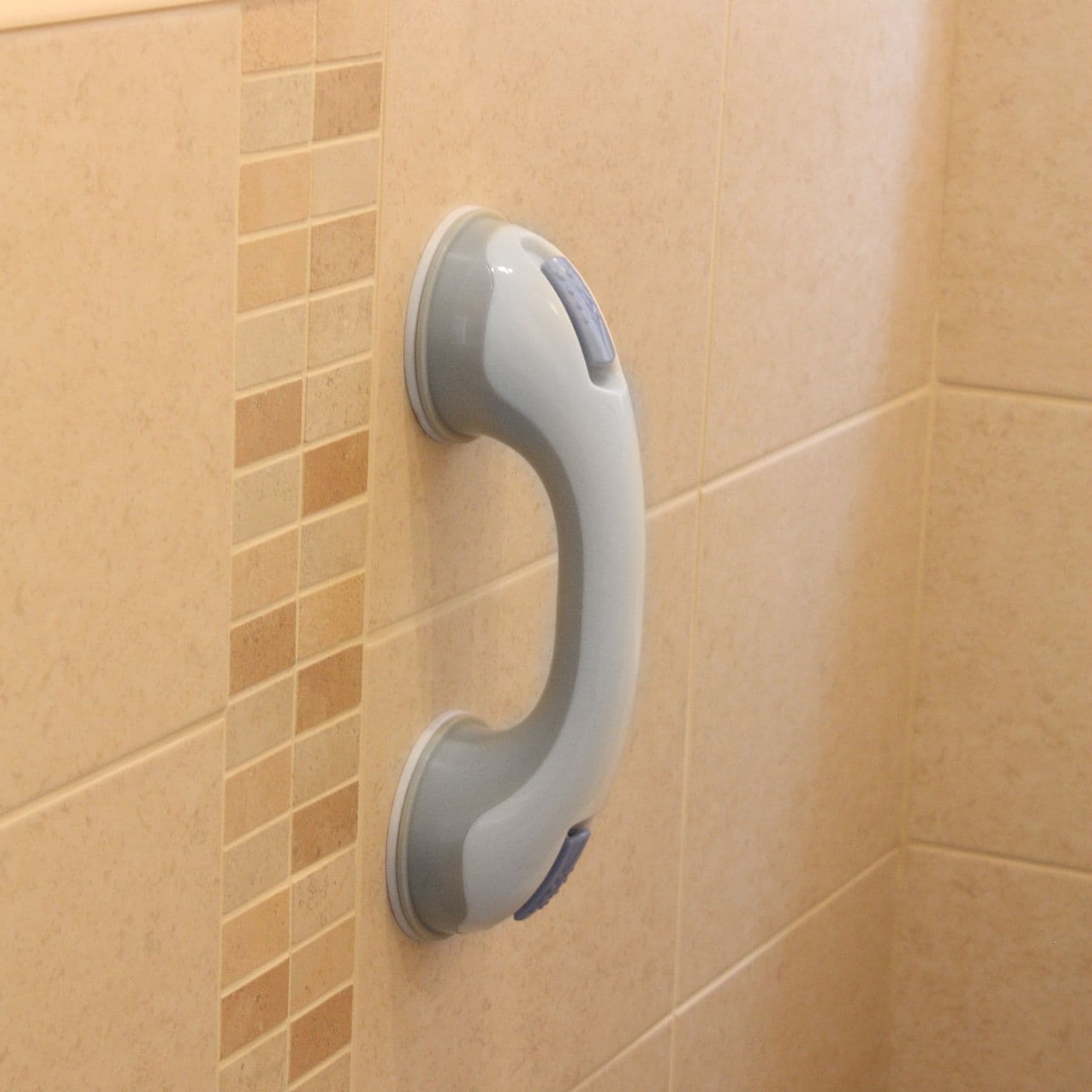 Safety Grab Bar