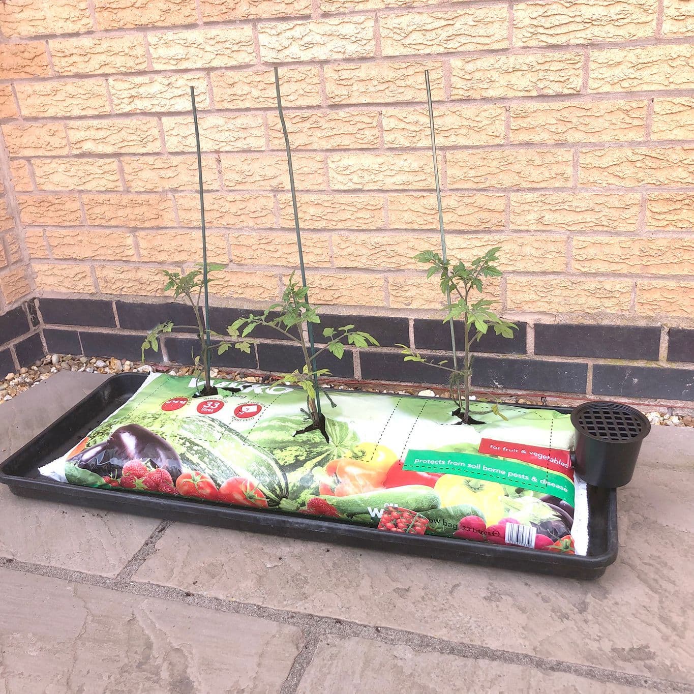 Speed Feed - Complete Watering System