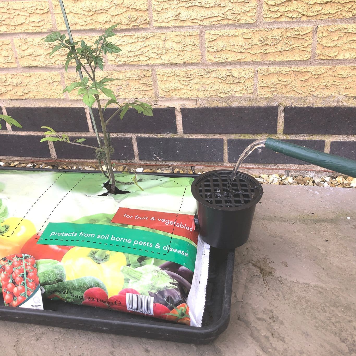 Speed Feed - Complete Watering System