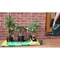 SpeedFeed for Growbags & Planters