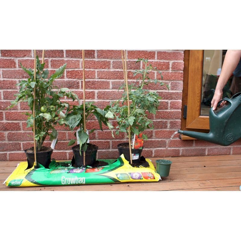 SpeedFeed for Growbags & Planters
