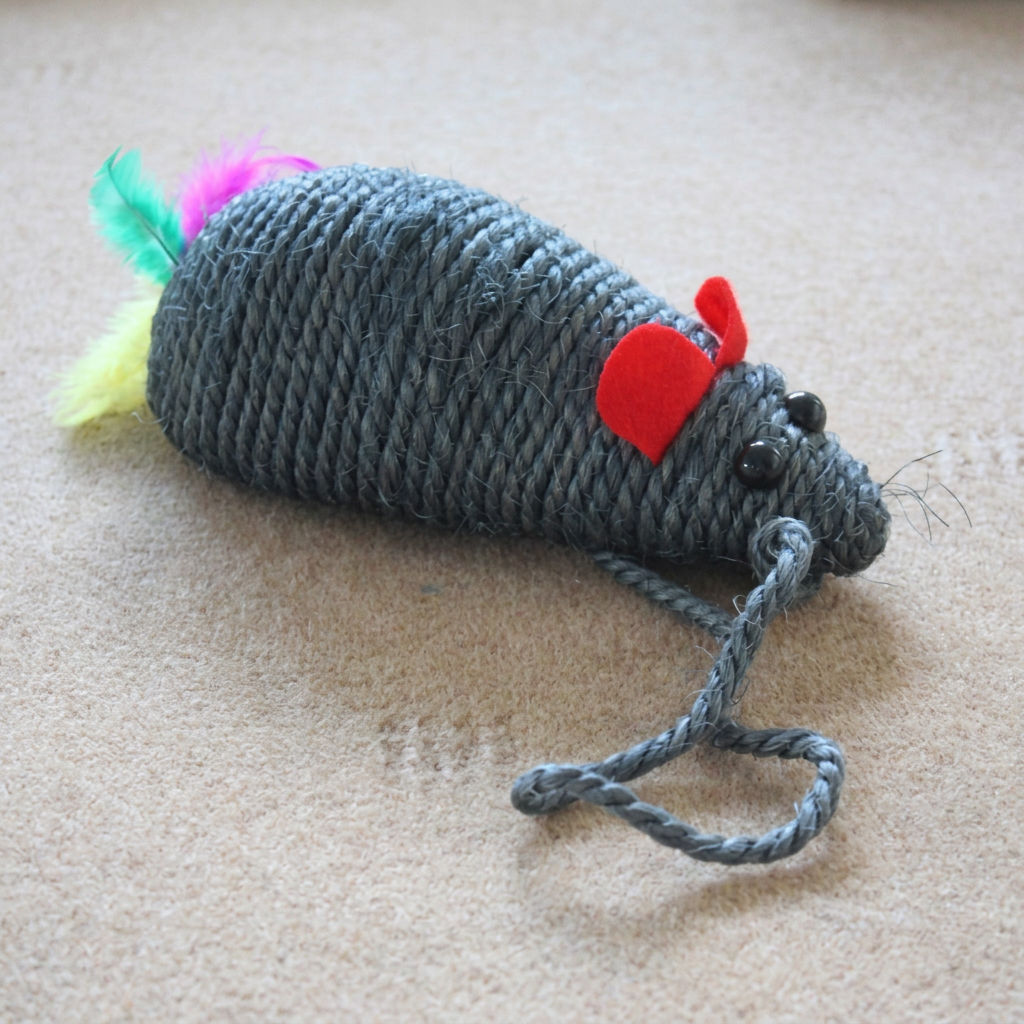 Square mouse cat scratcher photo with edge-to-edge background