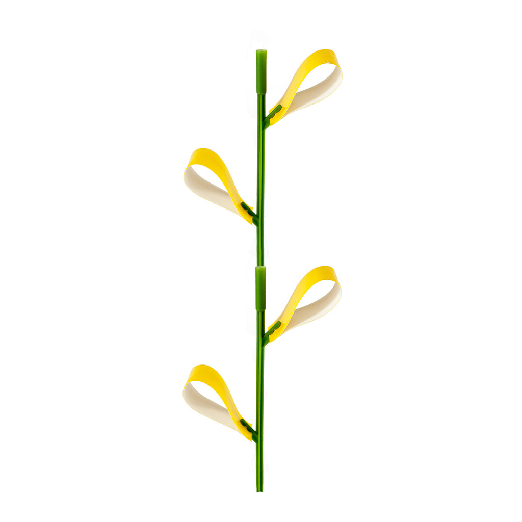 Sticky Stix – 12 Non-Toxic Traps for Indoor Plant Pests