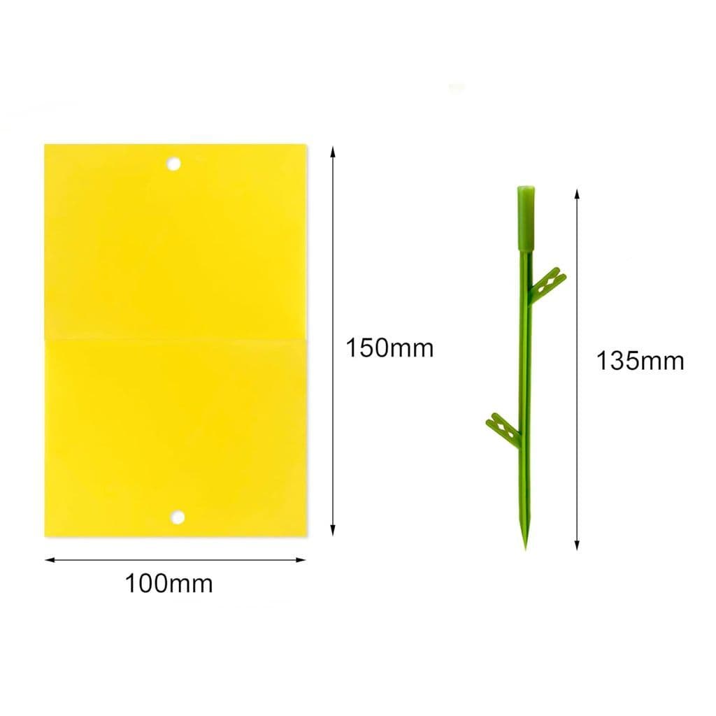 Sticka Bug Fly Traps