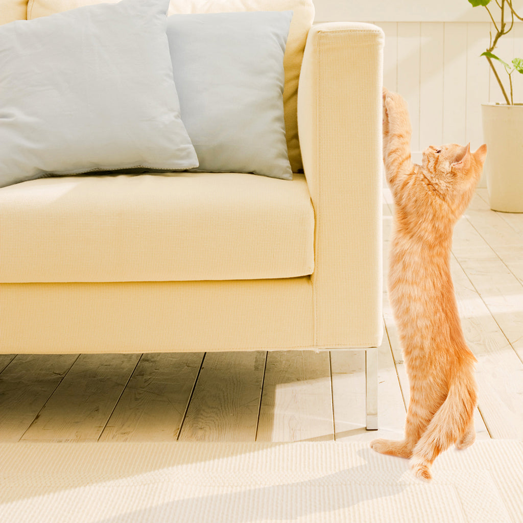 Sticky Cat Repeller Strips 12 Pack – Furniture Scratch Deterrent