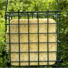 Suet Feeder