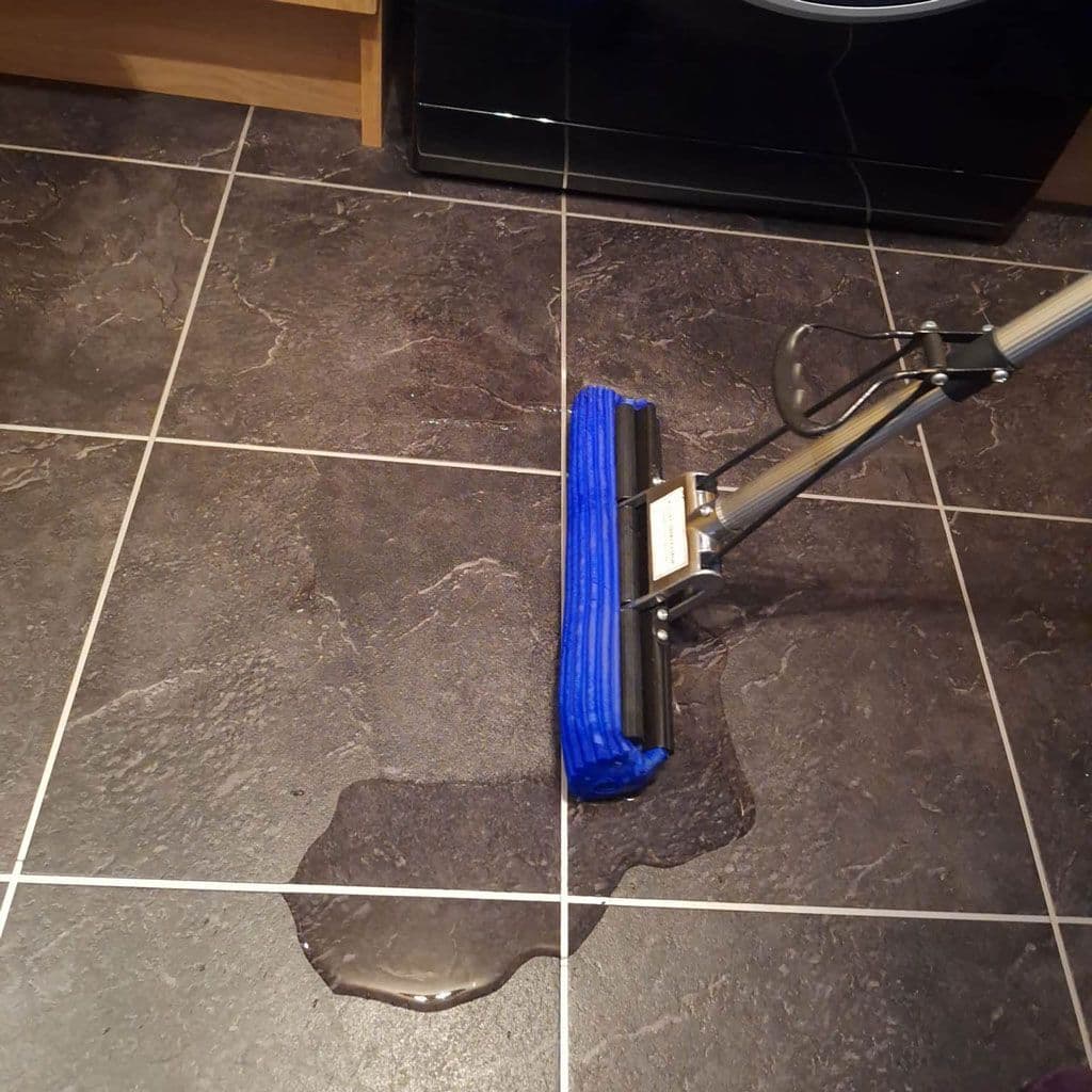 Thirsty Mop