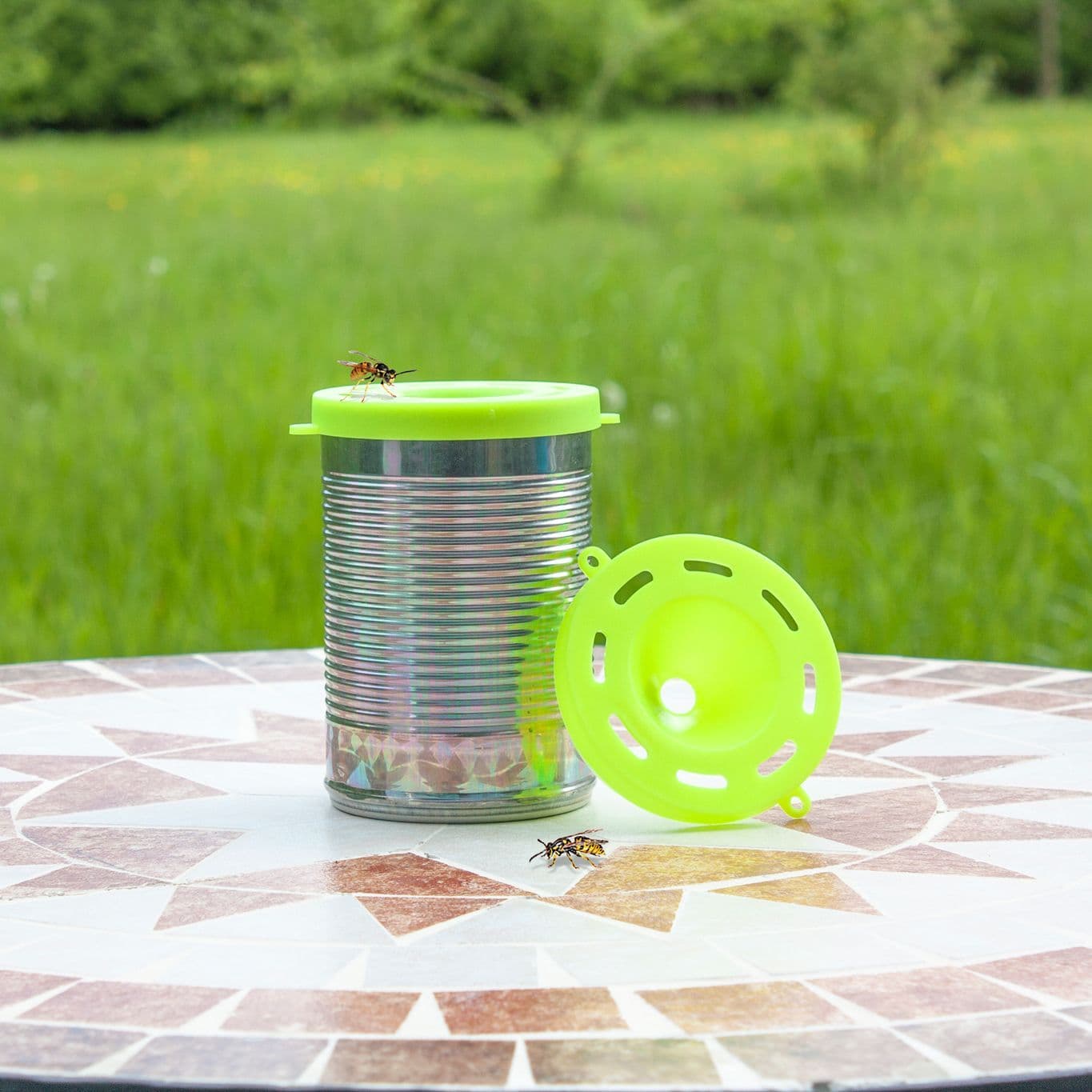 Wasp Can Traps