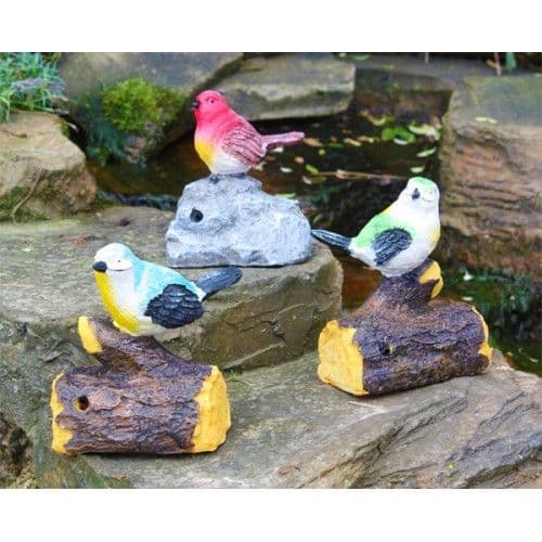 Whistling Birds