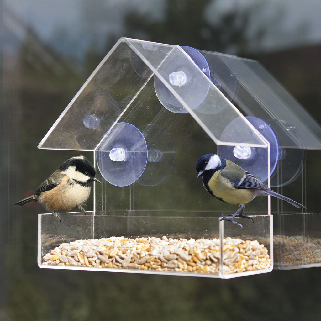 Window Bird Feeder
